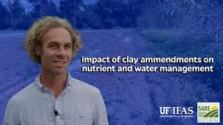 Impact of clay amendments on nutrient and water management - UF/IFAS SARE