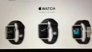 Apple Watch Straps And Adapters