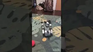Jumpy my little Sony Aibo with DogsLife 