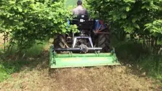 Fındık &ccedil;apalama makine