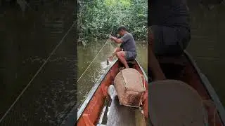 Ngau mentua ngabas pukat