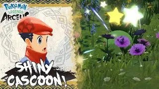 Random Shiny Cascoon Found While Doing Research | Pokemon Legends Arceus Shiny Living Dex Series