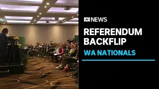 WA Nationals withdraw support for voice to parliament | ABC News