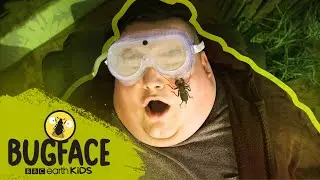 Tiktoker Steven McKell Faces A WHIP SCORPION! | Bugface | BBC Earth Kids