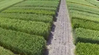 Seedtech Research & Variety Development Trials overview