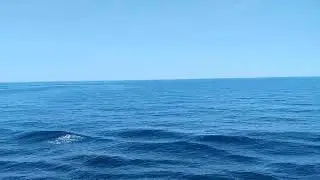 First experience in ship #Ship life #marine life # cruise ship life 