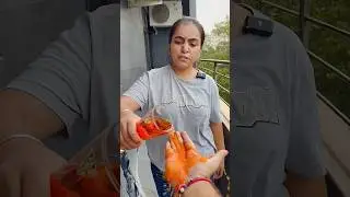 paly boy rax 🥰🤩😍🤱😱😘gudiya nai ye kya kiya#shorts #viral #funny #shortvideos #viralvideos #trending