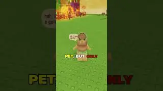 FREE Cooked Owl Pet?! Don't Be Late  #growagarden #roblox