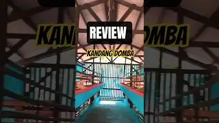 kandang modern #breeding #masukberanda #subscribe #sheep #kandangmodern #peternakmuda #kandangdomba