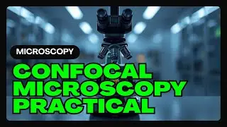 Confocal Microscopy in Practice: Overview to High Magnification