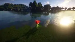 Full of life [Resource pack]