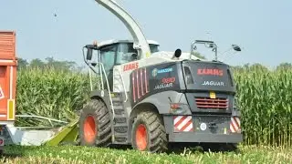 Claas Jaguar 980 Black Edition - Gavazzoni | Insilato Mais 2016