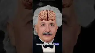 Albert einstein brain #science #sciencefacts