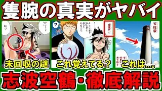 【BLEACH】志波空鶴の正体がガチでヤバイ…？隻腕の謎は『元・零番隊』なのか徹底考察【ブリーチ考察】