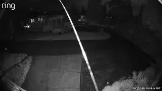 Coyote Thief