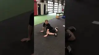 Brettzel 2.0