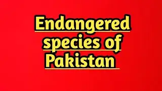 Endangered species of Pakistan