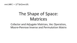 Cofactor and Adjugate Matrices, Vec Operation, Moore-Penrose Inverse and Permutation Matrix