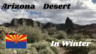 Arizona Desert in Winter