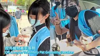 115寵物美容技術相關課程