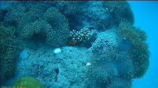 SEAVENTURE UnderWater Walking TOUR🐠First Time SCUBA Diving MALDIVES|BEST EXCITING LIFE ADVENTURES🧳
