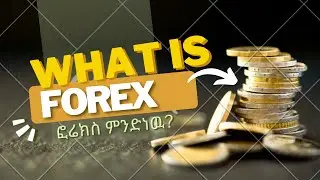 What is forex?ፎሬክስ ምንድነዉ