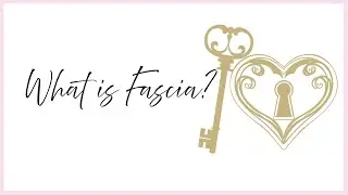 What is Fascia?
