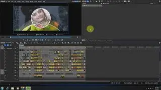 EDIUS  PROJECT WORKING TITURIAL