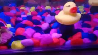 tank corour
