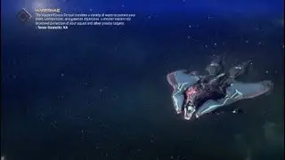 Warframe lich hunt