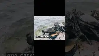 Konda Pochamma Reservoir | Weekend Trip | HRA Creations