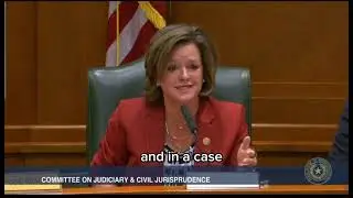 Rep. Ann Johnson and Chief Justice Blacklock Discuss Partisan Attacks on TX Judiciary, Bail Industry