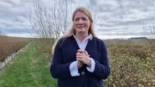Discover more about Scottish honeyberries!