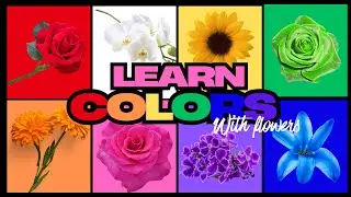 🌸🌻🌹Colorful Flowers for Kids | Learn Colors with Fun Flower Videos