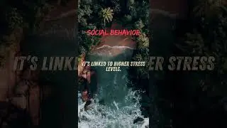 Why People Act Differently in Groups vs Alone 😱 | The Truth About Human Behavior