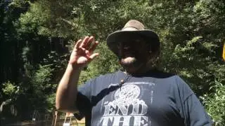 Bohemian Grove 2016 - Sean Ackley