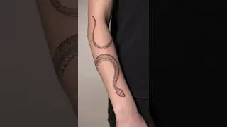 Snake Tattoo 🐍 #tattoo #snaketattoo #tattooideas #tattoodesign #tattooart