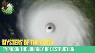 The Mysteries of the Earth | How Typhoon Form and Develop | Become Risk Affects Disaster