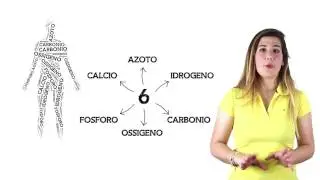 Elementi e composti chimici