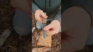 Swiss Tech Stahlern Strength Test #bushcraft #knifereview #walmartknife