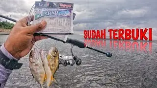 ‼️NO DRAMA‼️ soft lure paling gacor untuk casting baby GT