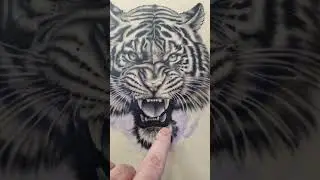 TIGRE en PIEL sintetica #dynamic #furymachine #kwadron