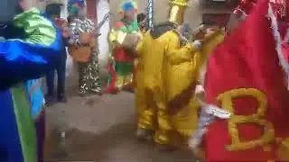 Carnavales 2020 porcon bajo