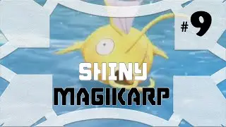 #NewYearKarp - 2019 HYPE