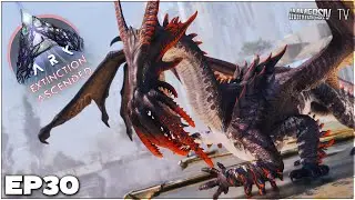 LE DRACOTEUTHIS : UN DRAGON FUSIONNÉ AVEC UN SEEKER | ARK ASCENDED