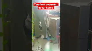 #termitespray #treatment #savewood#savewalls