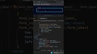 input animation using html and css | #html #css #animation #shorts #developer #web #cssanimation
