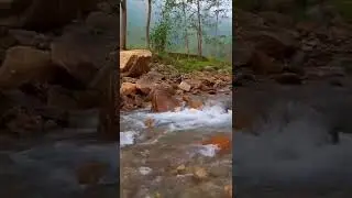 Rangbhang River Tabakoshi #shorts