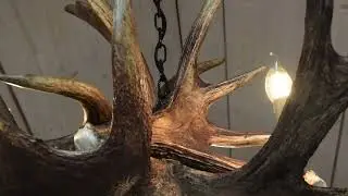 Real Moose Antler Chandelier