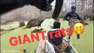 Hunting GIANT Louisiana Swamp Rats| Invasive Nutria Population